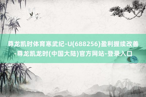 尊龙凯时体育寒武纪-U(688256)盈利握续改善-尊龙凯龙时(中国大陆)官方网站-登录入口