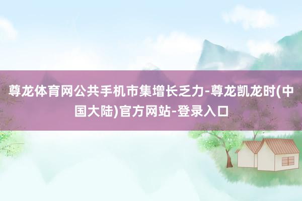 尊龙体育网公共手机市集增长乏力-尊龙凯龙时(中国大陆)官方网站-登录入口